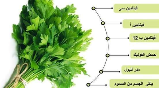 فوائد البقدونس المغلي