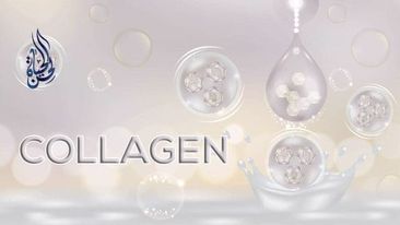 الكولاجين collagen