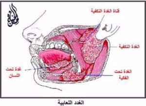 ماذا تعرف عن سيلان اللعاب أثناء النوم؟